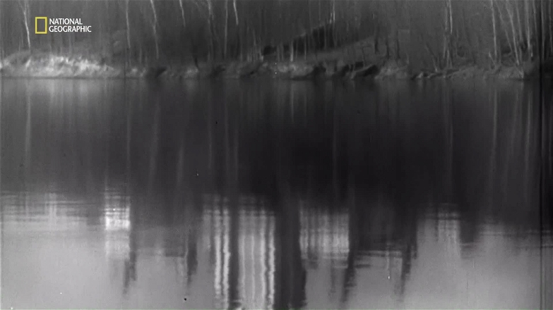 Gulag The Story S01E03