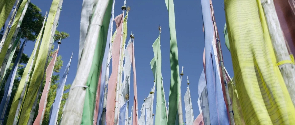 Infinite Potential: The Life & Ideas of David Bohm