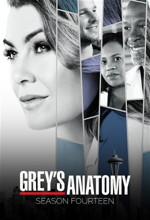 Grey's Anatomy_0014