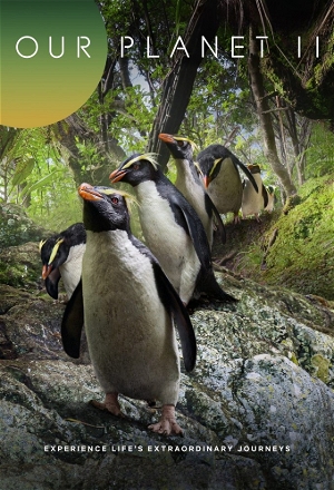 Our Planet (2019)_0002