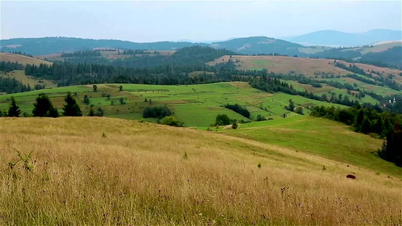 Ancient Civilizations S02E03 DNA And The Seeds Of ReCivilization