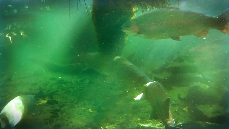 Ancient Civilizations S04E08