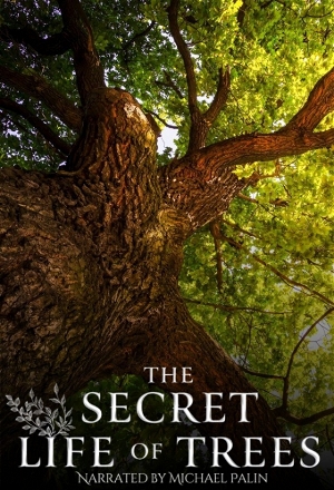 Secret Life of Trees
